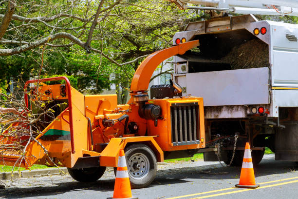 Best Leaf Removal  in Lake Holiday, IL